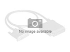 SATA Cables –  – SATAFF6IN-5PK